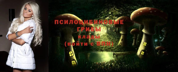 таблы Аркадак