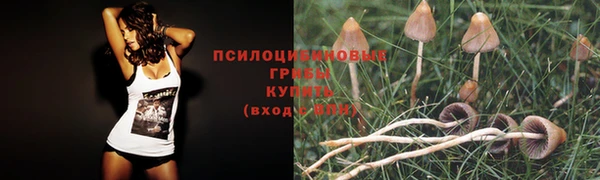 таблы Аркадак
