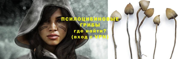 таблы Аркадак